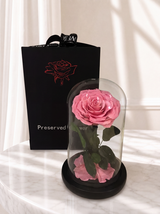 Forever Pink Rose