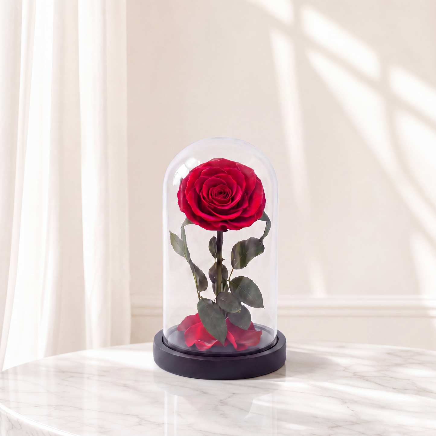 Forever Red Roses with Box The Flower Company