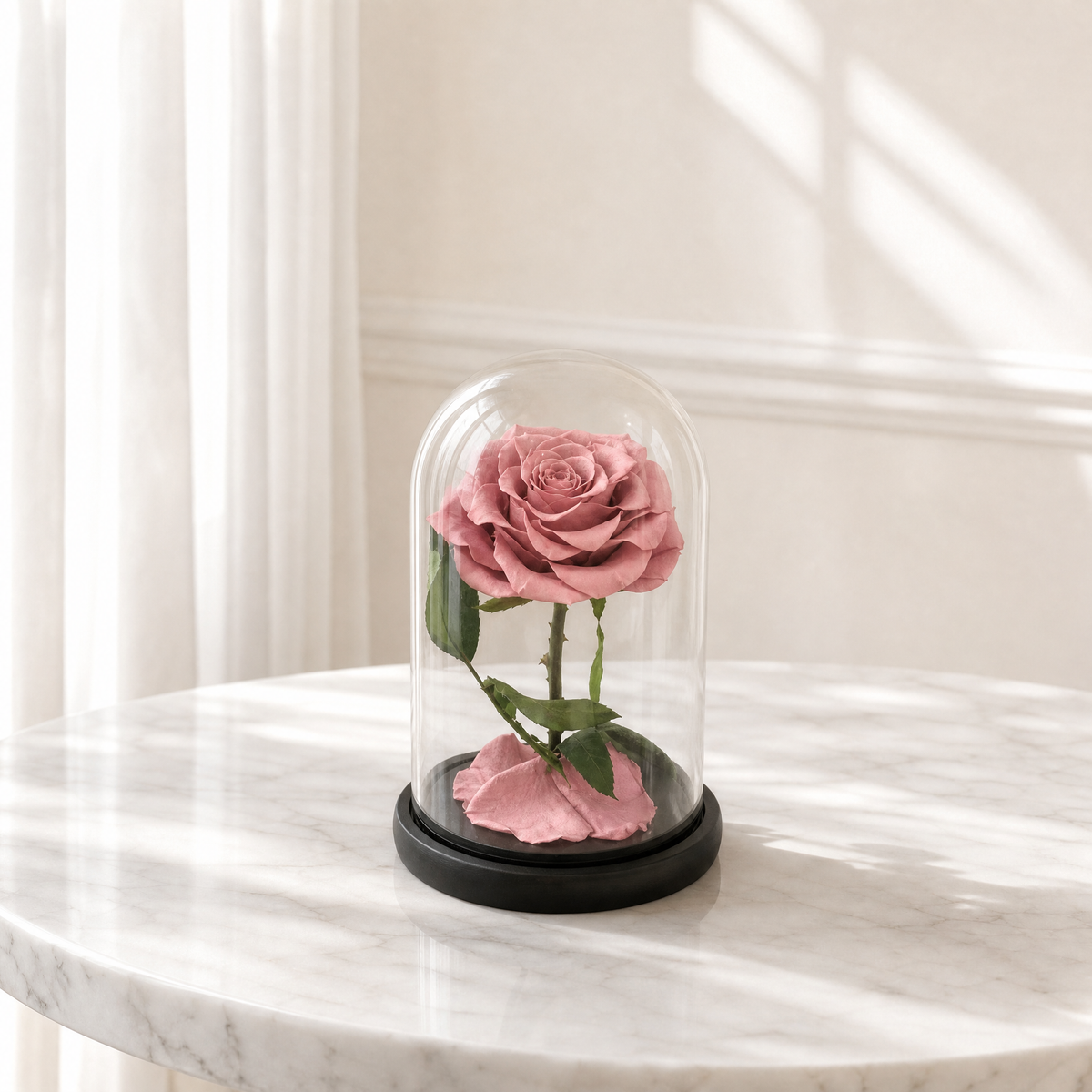 Forever Rose Color Cappuccino The Flower Company