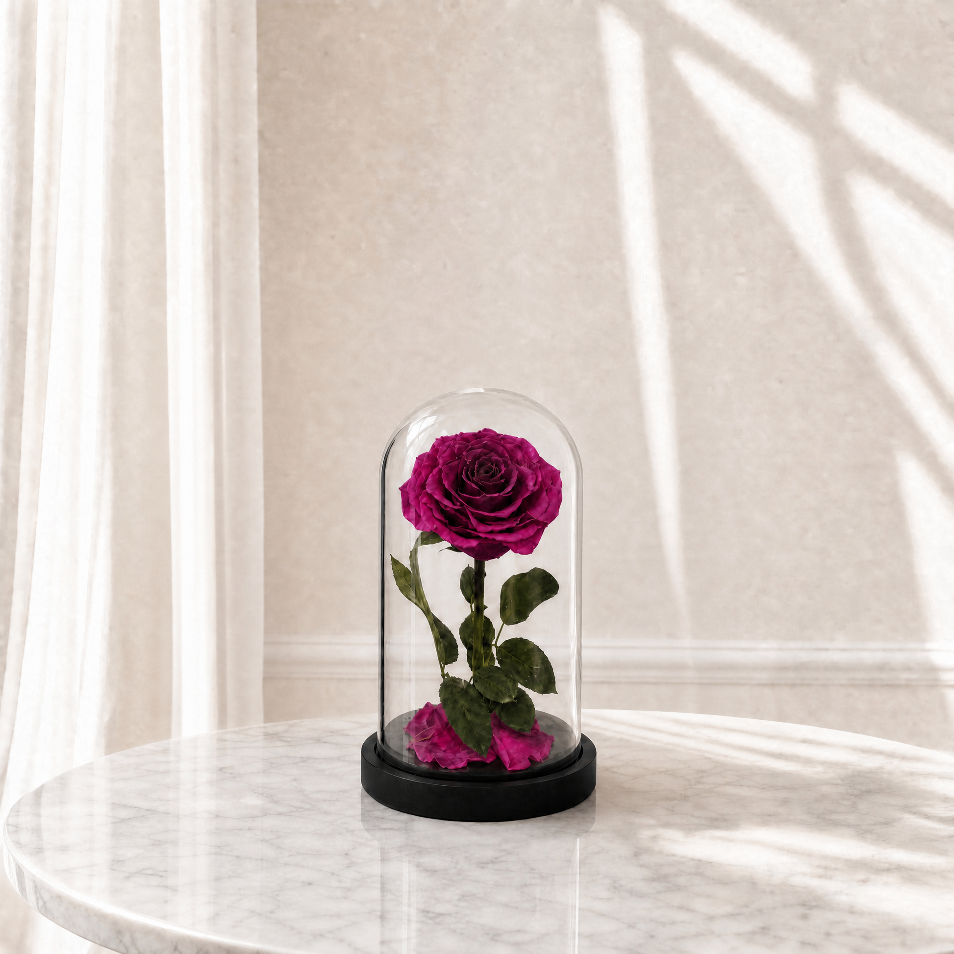 Forever Rose Dark Purple The Flower Company