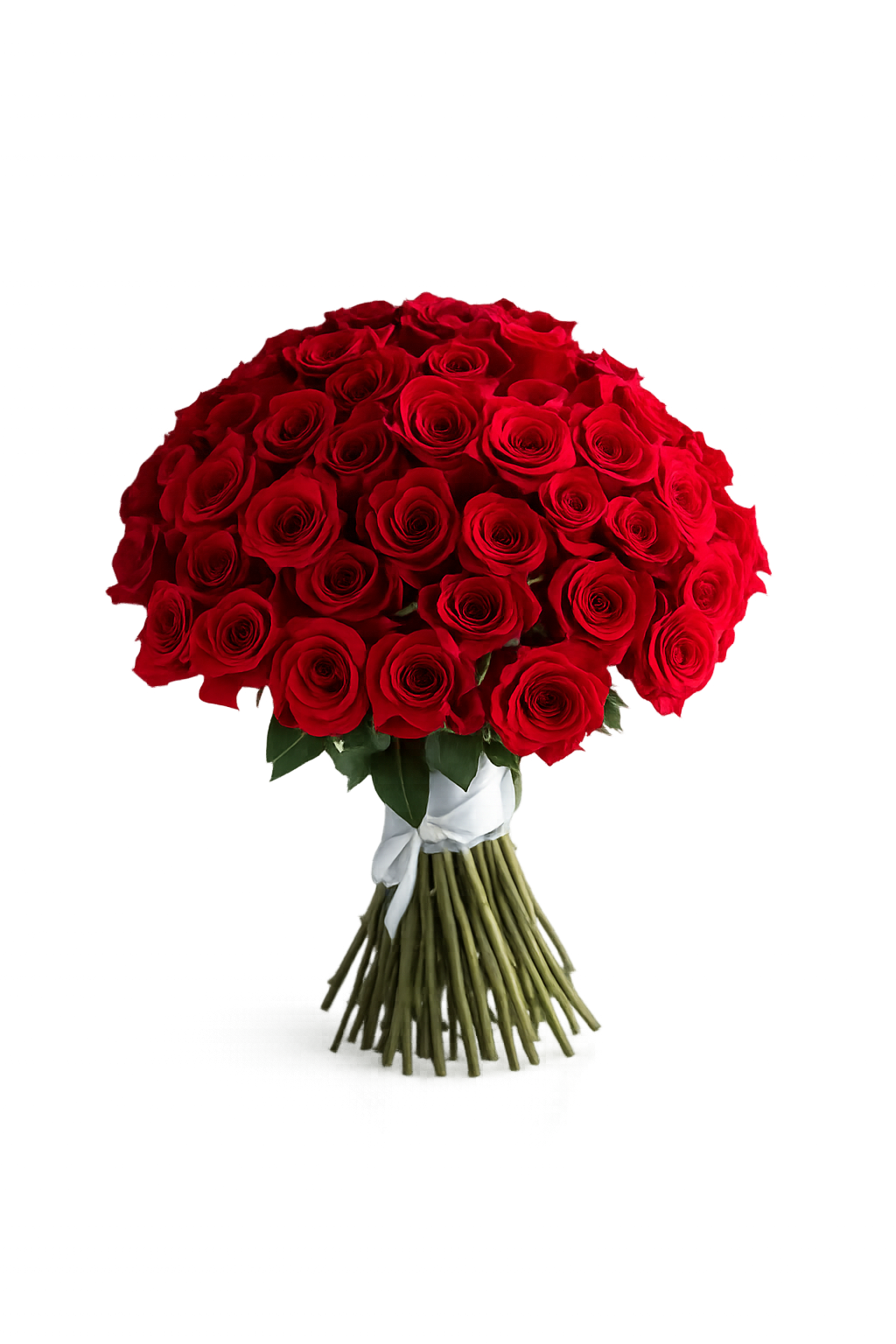 The Romantic