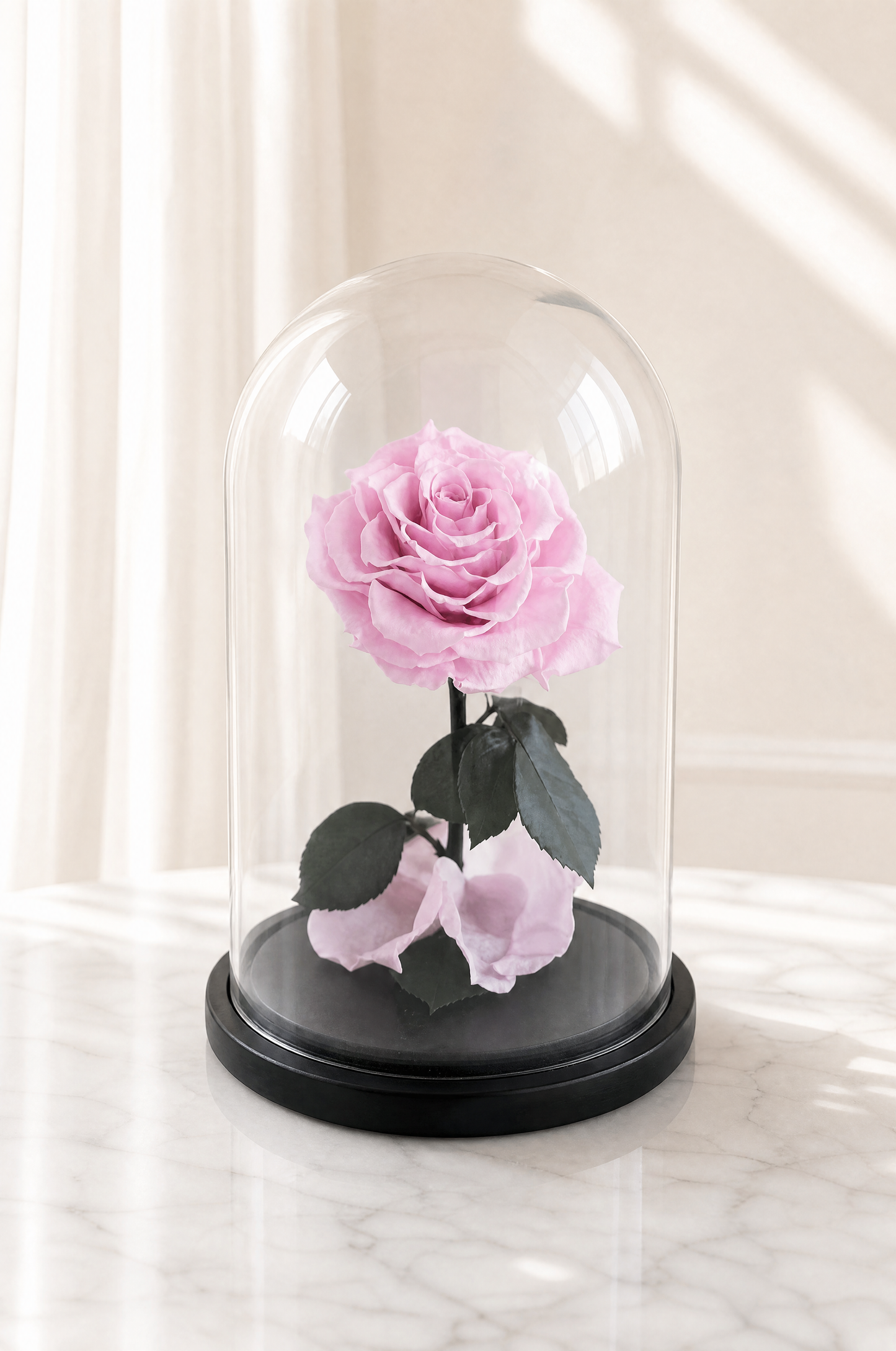 Soft Pink Large Dome The Flower Company
