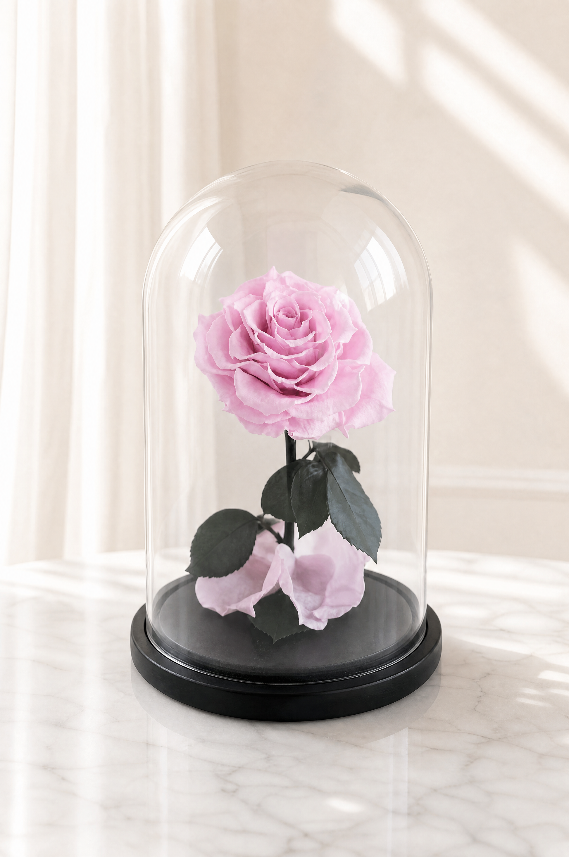 Soft Pink Large Dome The Flower Company