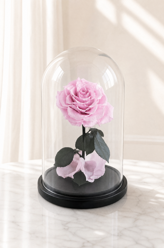 Soft Pink Large Dome The Flower Company